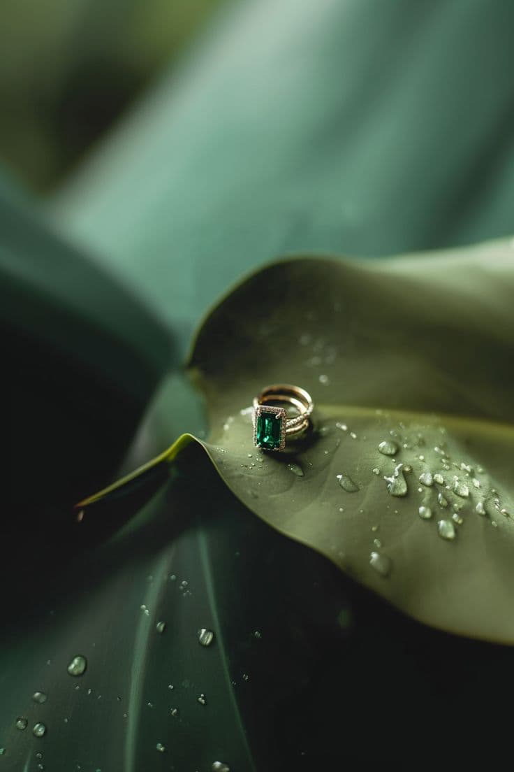 Engagement